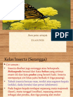 Bahan Ajar9 Arthropoda Kelas Insecta (Serangga)