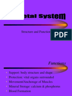 Skeletal System