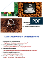 Coffee Training