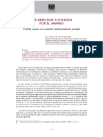 Los Derechos Tutelados Por El Amparo 2008 03