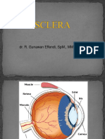 Kuliah Sklera