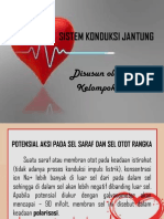 Sistem Konduksi Jantung