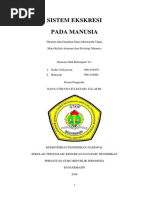 Makalah Sistem Ekskresi Pada Manusia