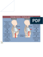 39270907 Resumo Fisiologia Respiratoria