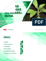 Controle de Buva PDF