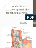 Anatomie-clinica-a-maduvei-spinarii-si-a-trunchiului.pptx