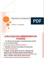 Aula 3-Estádios Do CA PDF