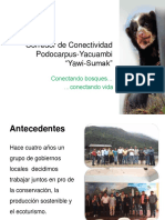 Corredor de Conectividad Podocarpus Yacuambi "Yawi Sumak"