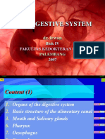 01 Digestive System