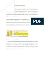 Regressões e transgressões marinhas: causas e diferenças