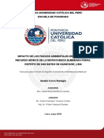 Corzo Remigio Amelia Impacto Mineros PDF