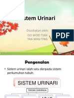 Sistem Urinari