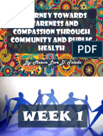 Community and Public Health Portfolio