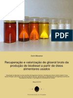 Recuperacao e Valorizacao de Glicerol BR