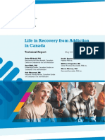 CCSA Life in Recovery From Addiction Report 2017