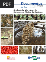 Workshop de Sementes