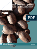 Inta - Guia de Buenas Practicas Agricolas para La Produccion de Nuez Pecan