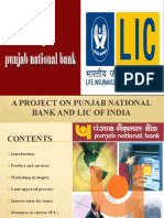 A Project On Punjab National Bank and Lic of India