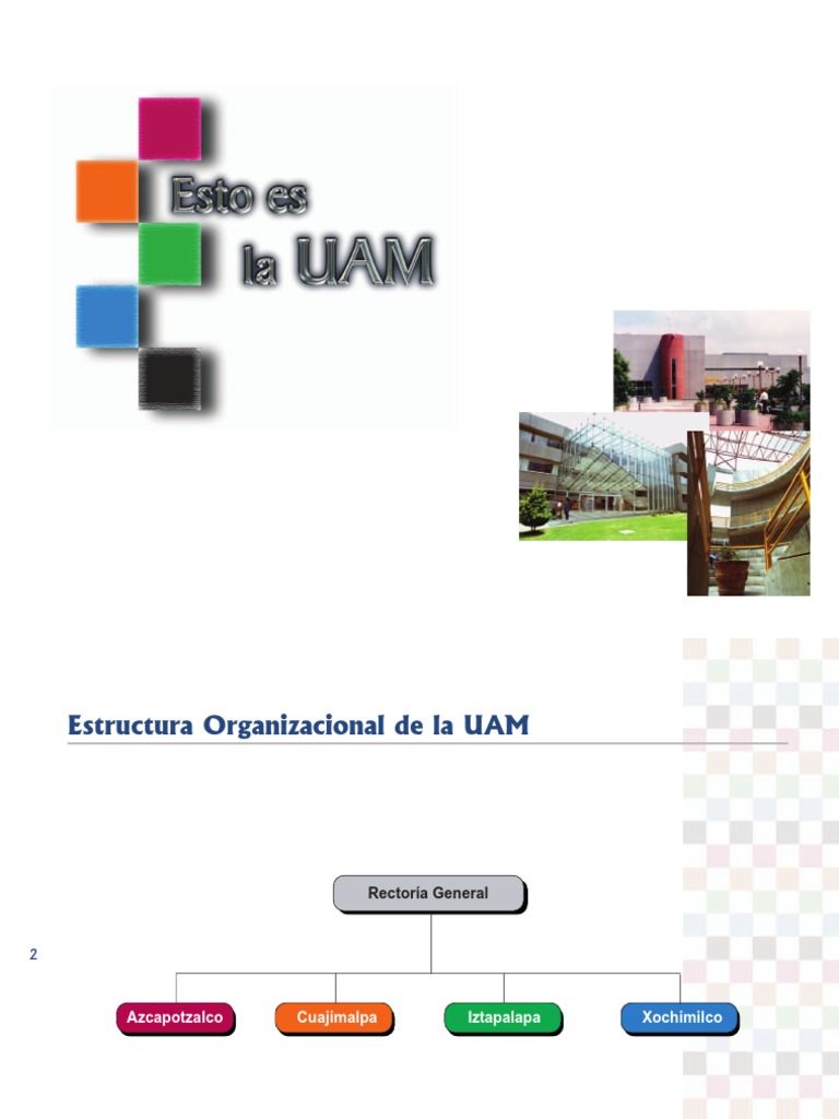 Esto Es La UAM | PDF | Economias | Salud y bienestar