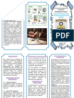 Triptico de La Drogadiccion en Los Adolecentes