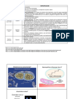 Talle 4.2. BACTERIAS. Estructura Particular