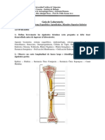 Guia1 ANATOMIA 2013 Miembro Superior