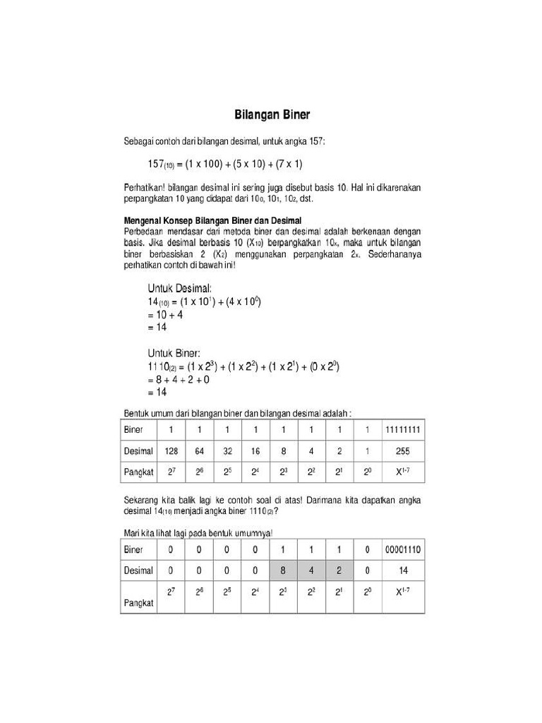 Teori Bilangan Biner