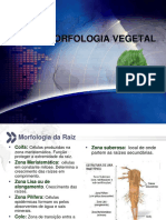 Morfologia Vegetal