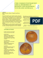 A Guide To The Common Postharvest Diseases and Disorders of Navel Oranges and Mandarins Grown in Inland Australia
