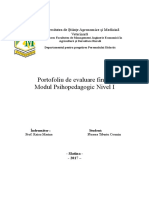 223717006 Portofoliu Final DPPD Copy