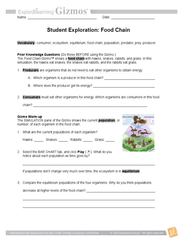 Food Chain Student Worksheet And Extension Predation