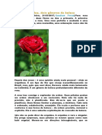 Rosa e orquídea - dois gêneros de beleza.docx