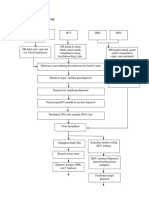 Patofisiologi Hepatitis