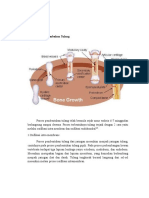 Mekanisme Pertumbuhan Tulang
