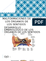 Malformaciones de Los Órganos de Los Sentidos