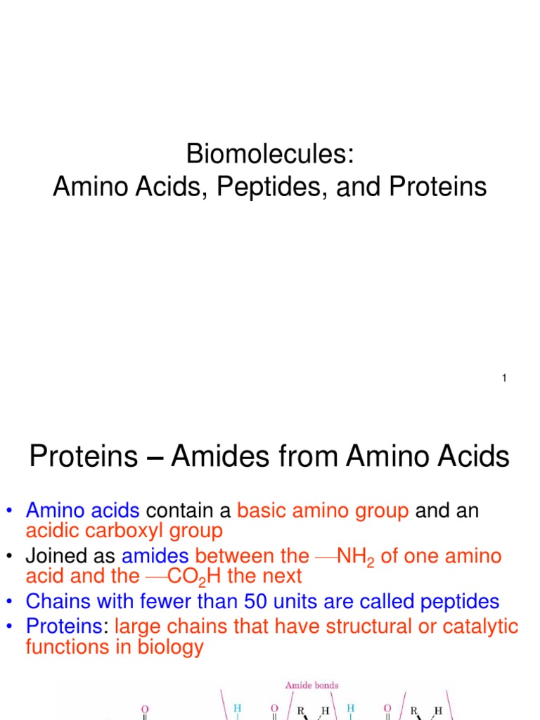 biomolecules Amino Acid Enzyme
