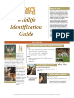 Todays Bowhunter Wildlife Identification Guide