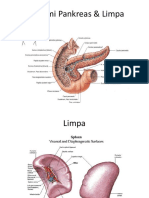 Anatomi Pankreas Dan Limpa