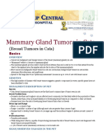 Mammary Gland Tumors in Cats