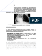 3. Malformaciones Pulmonares-b y c
