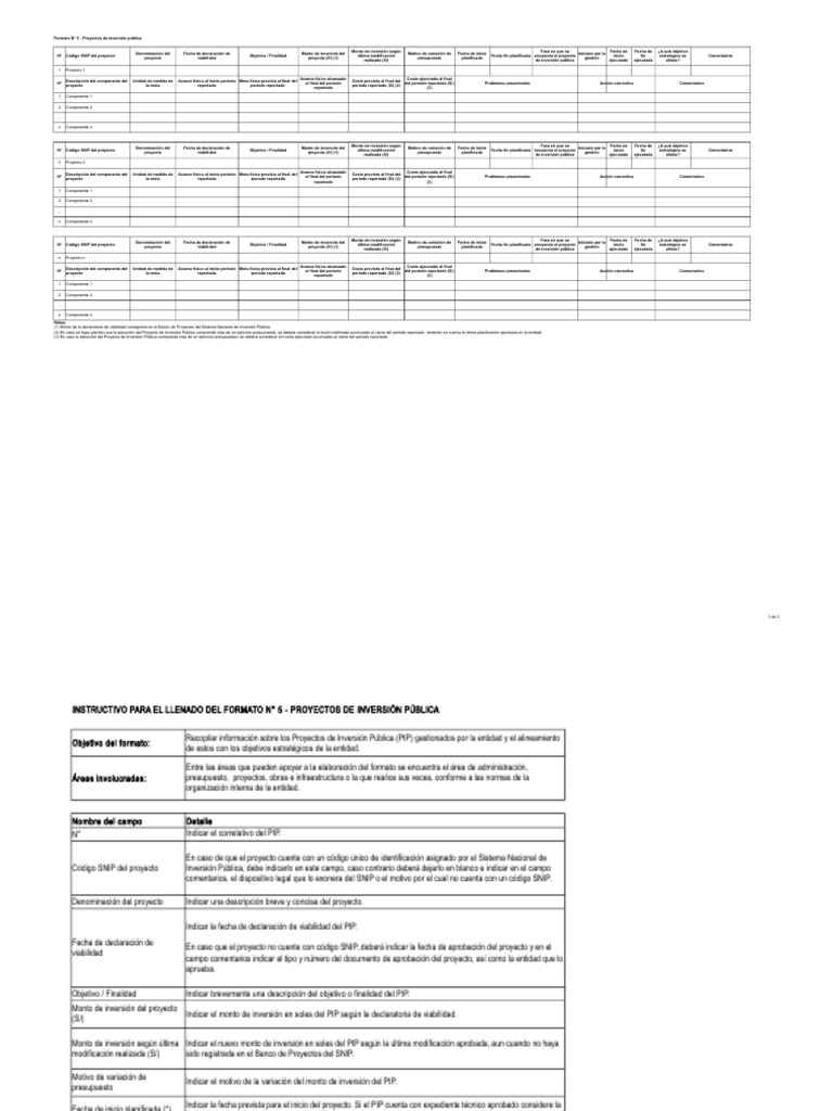 Formato 5 - PIP | PDF | Presupuesto | Business