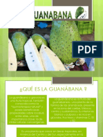 guanabana-ppt