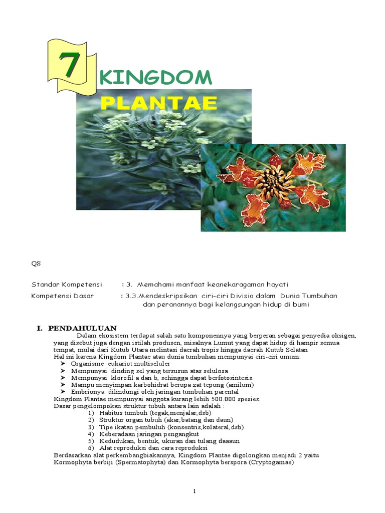 Kingdom Plantae Kingdom Plantae