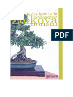 Bonsai Zelkova PDF