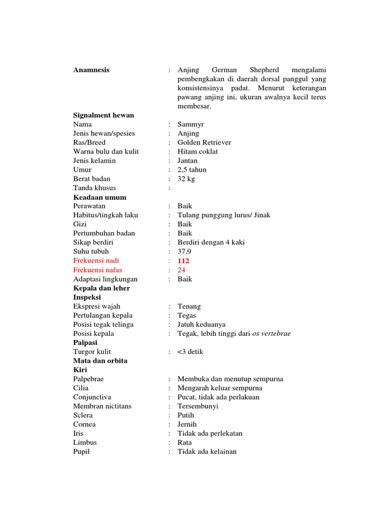 Anamnesi Shammyr Docx