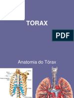 torax.pdf