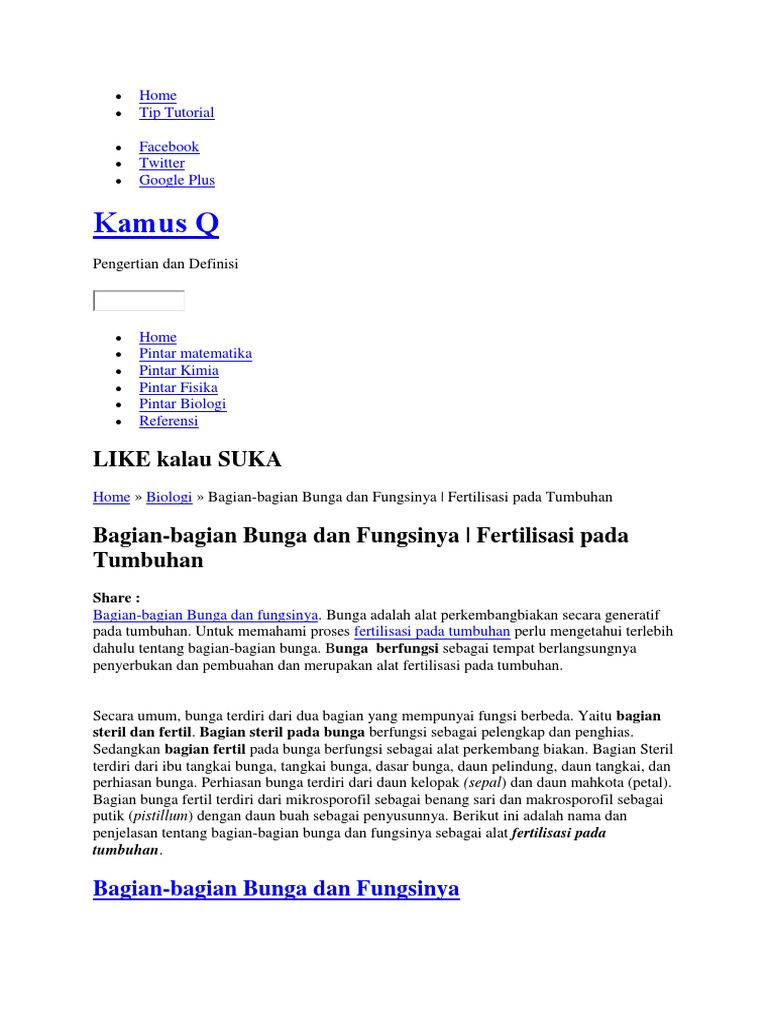 Bagian Bagian Bunga  Dan  Fungsinya  Berbagai Bagian Penting