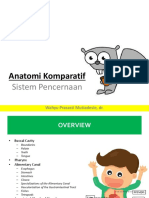 Anatomi komparatif digestive.pptx