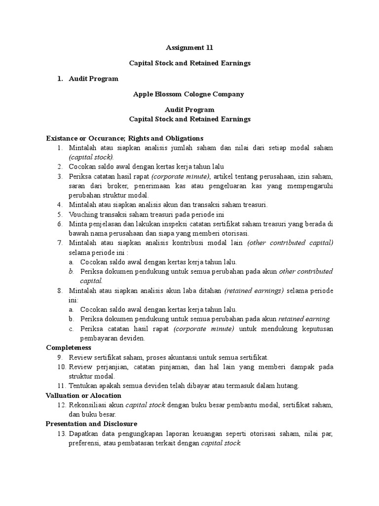 Assignment 11-Audit Program | PDF