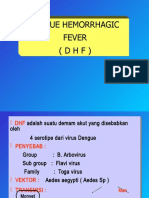 Dengue Hemorrhagic Fever (DHF)